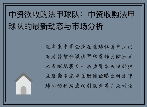 中资欲收购法甲球队：中资收购法甲球队的最新动态与市场分析